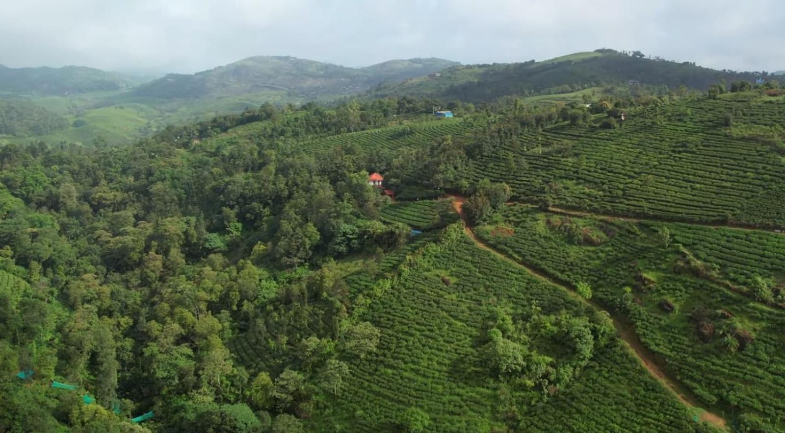Tea Haven By Yathroam Vendégház Vagamon Kültér fotó